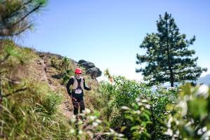 BIB: 
                            <button type="button" onclick="openModal(26608766)" class="btn btn-primary btn-sm float-right btn-popup" data-toggle="modal" data-target=".modal-high-quality">
                        <i class="fas fa-shopping-cart"></i> Add to Cart
                    </button>
                                            <button type="button" onclick="isThisMe(26608766, true)" class="btn btn-success btn-sm float-right btn-popup btn-isme hidden" data-toggle="tooltip" data-placement="bottom" title="นี่คือรูปของคุณใช่ไหม คลิกที่นี่เพื่อเอาเข้าอัลบั้ม">
                        <i class="fas fa-plus"></i> Add to album
                    </button>
                    <button type="button" onclick="isThisMe(26608766, false)" class="btn btn-warning btn-sm float-right btn-popup btn-isnotme hidden">
                        <i class="fas fa-ban"></i> Remove from album
                    </button>